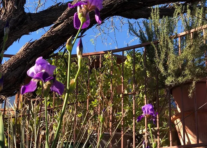 Bed & Breakfast Spur Cross Cave Creek